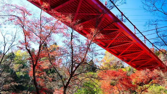 泉自然公園