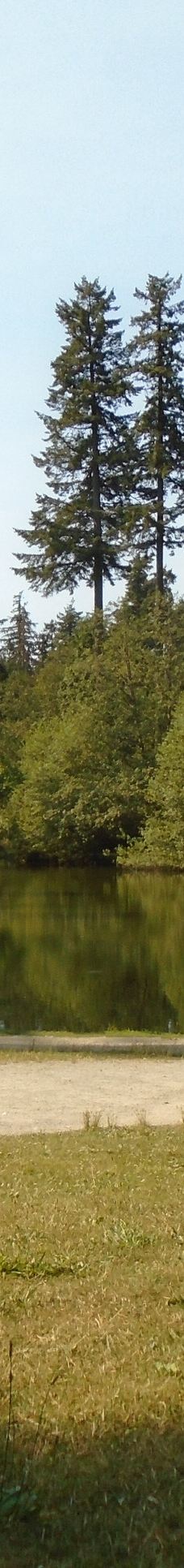 中央公园-本那比