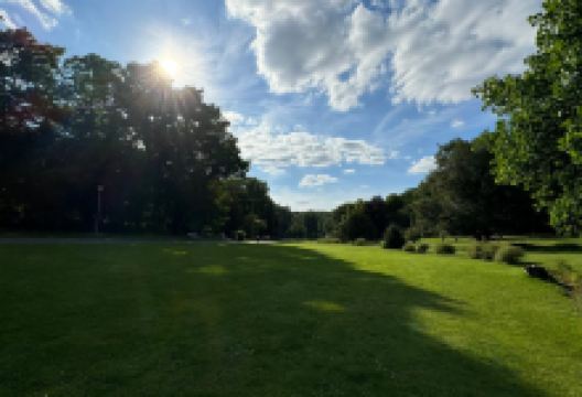 德法公园景点图片