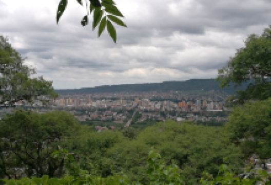 Municipal Botanical Park Baron Carlos Maria Schuel景点图片