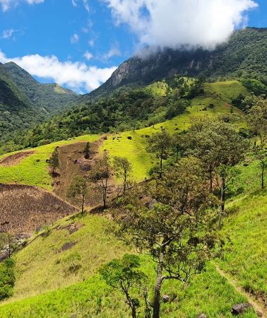 7D6N • Sri Lanka+Dambulla + Colombo + Sigiriya Lion Rock + Temple of the Sacred Tooth Relic + Yala National Park + Mirissa Whale Watching Cruise + Coastal Train Ride 