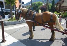 Morzine-Avoriaz Golf Club景点图片