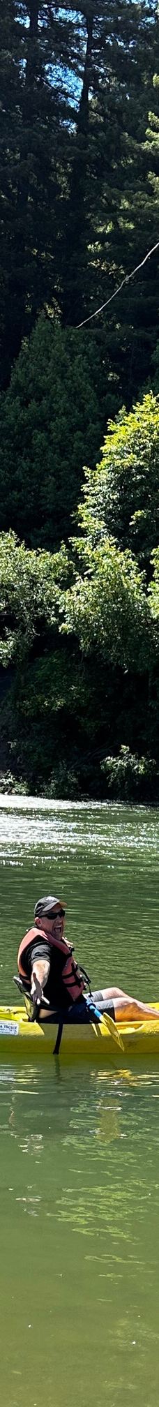 Johnson's Beach-盖尔南韦尔