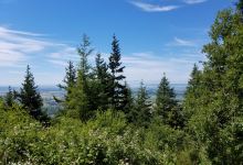 Little Mountain Park景点图片