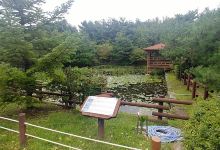城南市立植物园景点图片
