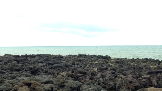 Phala Beach