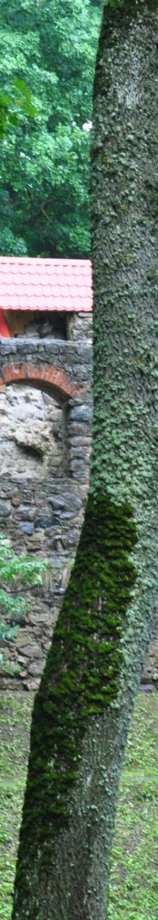 Andrejs Pumpurs Lielvardes muzejs-Lielvardes pilseta