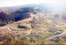 Nakada no Tanada景点图片