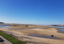 Reserva Natural Estuario do Douro景点图片