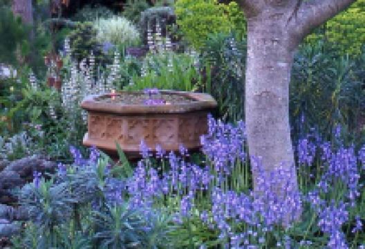 Out of Town Nursery and Humming Garden景点图片