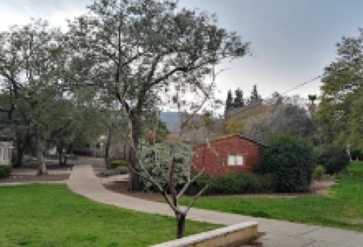 Tavor Site Hospitality and Training Center景点图片