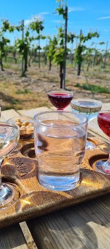 Vingaarden, Lille Gadegaard ( Vineyard )-阿克尔科拜