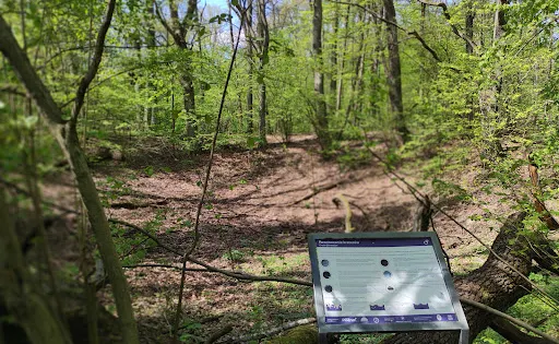 Morasko Meteorite Nature Reserve