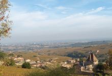 Archeological and Botanical Garden景点图片