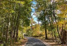 Gunpowder Falls State Park Hammerman Area景点图片