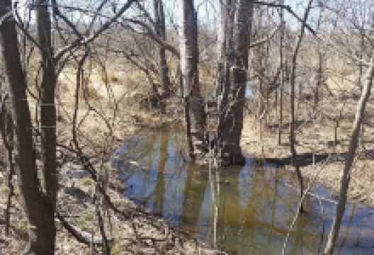 Bles Park景点图片