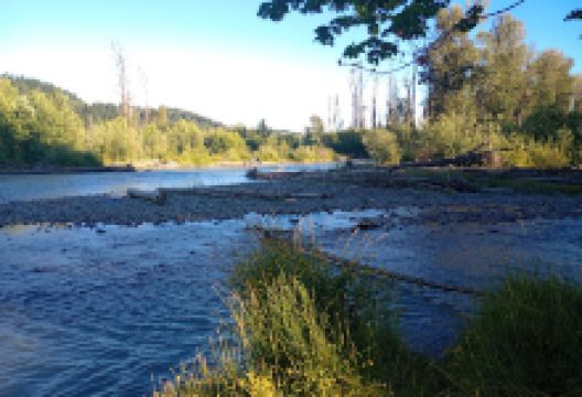 Pacific City Park景点图片