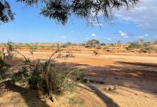 Samburu Public Campsite景点图片