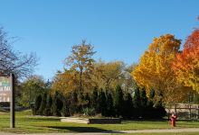 Memorial Park景点图片