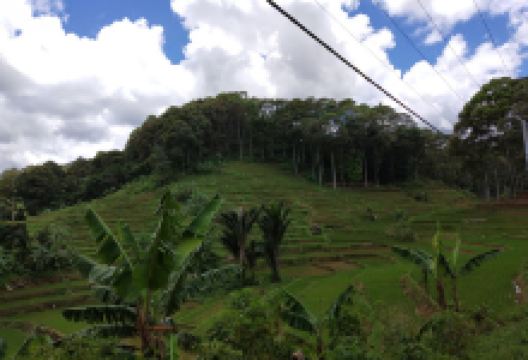 Leuweung Adat Maranti景点图片