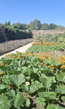 宁布鲁宫和花园-Beningbrough