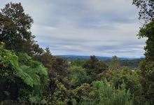 Water race walkway景点图片