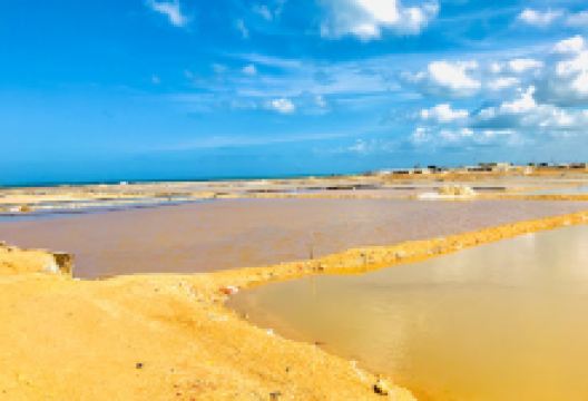 Manaure Park景点图片