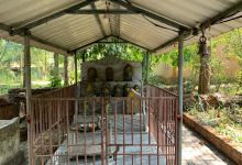 Veera Vitala Temple Kumble景点图片