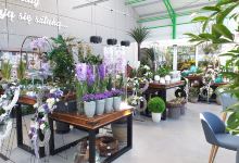 Green House Poland购物图片