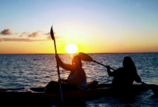Clear Kayak Aruba景点图片
