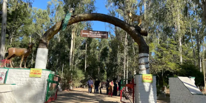 Nepli Reserve Forest