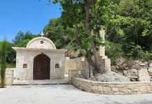 Ayios Neofytos Forest景点图片