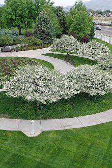 犹他廷帕诺戈斯山圣殿-亚美利加福克