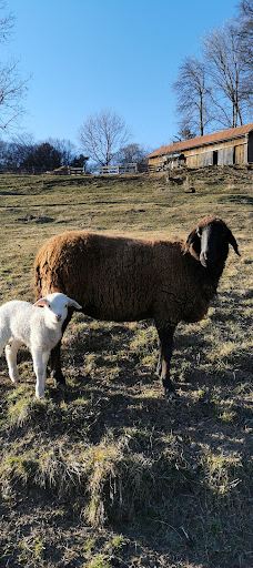 Schloss Lustbühel, Graz-格拉茨