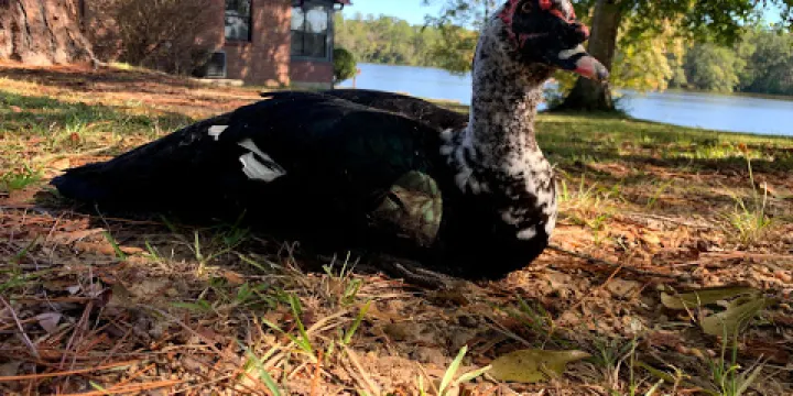 Paul B. Johnson State Park