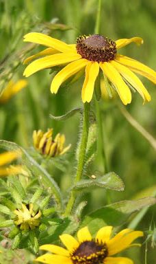 Bayview Park-阿什兰