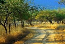 Hinota Ecotourism Complex景点图片