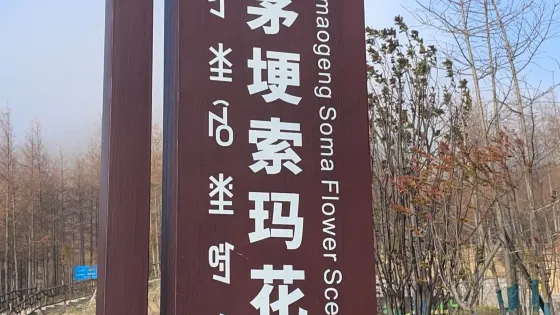 美姑黃茅埂索瑪花景區