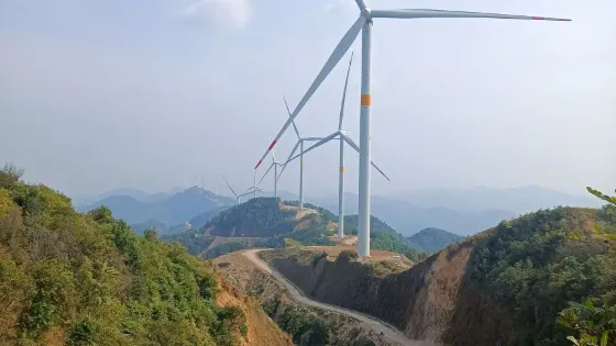 天鵝頭