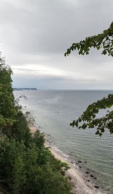 Kępa Redłowska-格丁尼亚