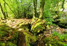 Landes de Locarn景点图片