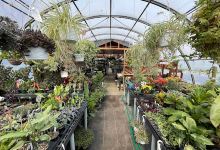 Sabellico Greenhouses & Florist购物图片