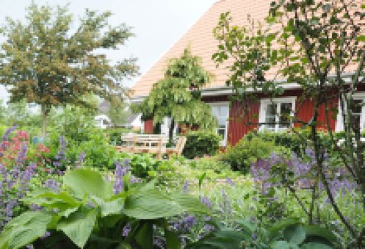 Filtestedet购物图片