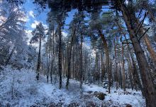 Pirin peak景点图片