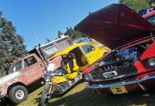 Amboy Territorial Days Park景点图片
