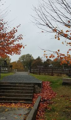 Bad Little Falls Park-马柴厄斯