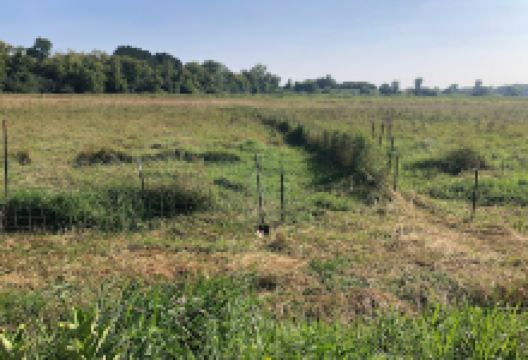 Blue House Garden景点图片