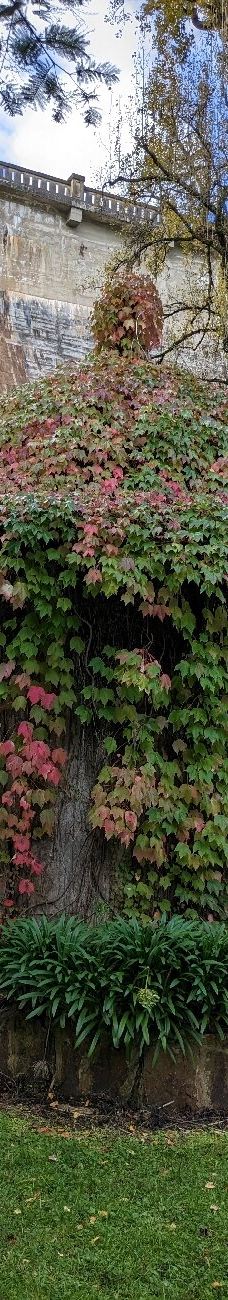 Maroondah Reservoir Park-希尔斯维尔