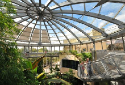 Sunderland Museum, Winter Gardens景点图片