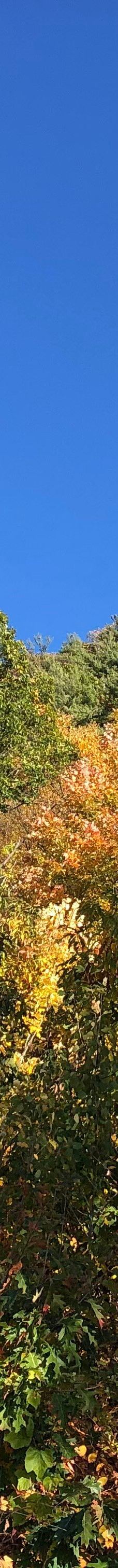 Mount Tom State Reservation-霍利奥克